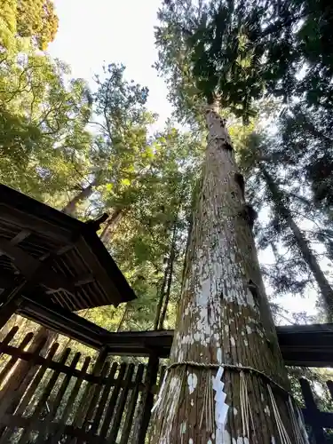 伊野天照皇大神宮(福岡県)