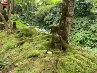 三千院門跡(京都府)