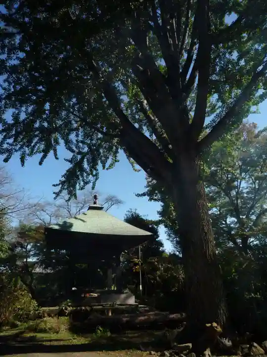 万蔵院のその他建物