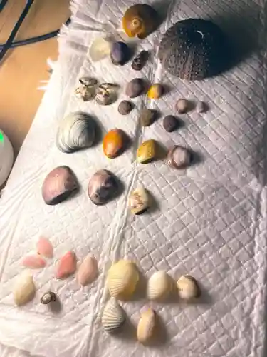 鶴岡八幡宮の周辺