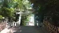 渋谷氷川神社の鳥居