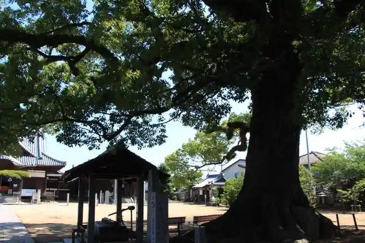 長尾寺のその他建物
