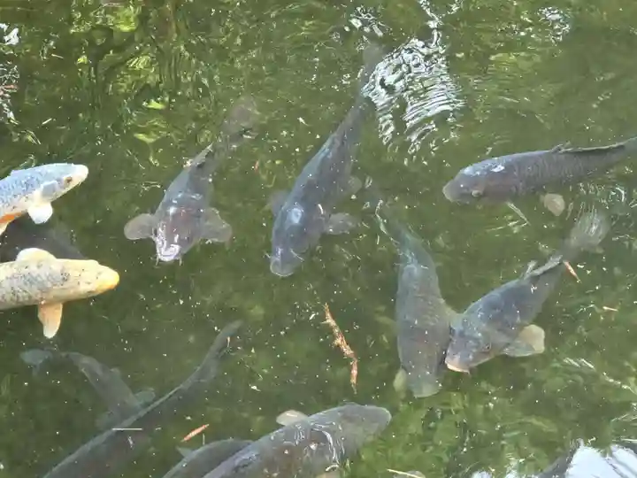 田出宇賀神社(福島県)
