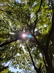 事任八幡宮の自然