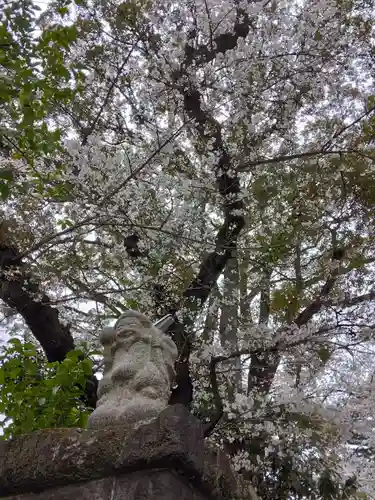 観音寺（世田谷山観音寺）(東京都)