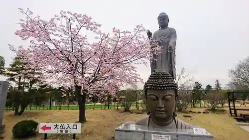 東本願寺本廟 牛久浄苑（牛久大仏）(茨城県)