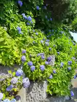 厚別神社(北海道)