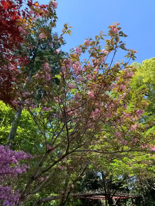 加佐登神社の自然