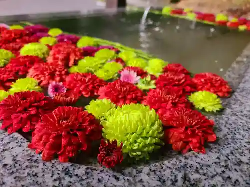 木幡山隠津島神社(二本松市)の手水舎