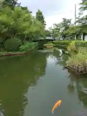 飛驒護國神社(岐阜県)