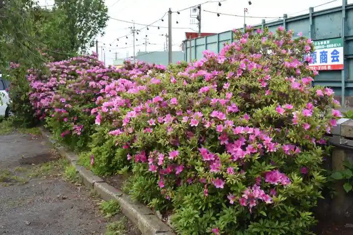 相模原氷川神社の庭園