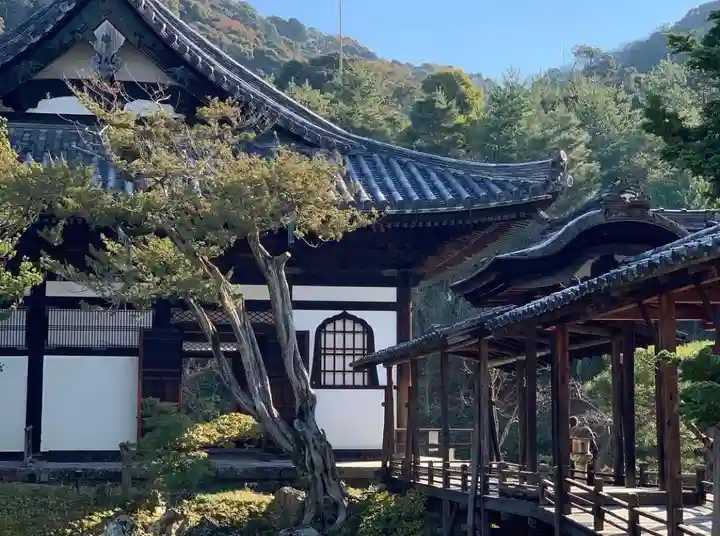 高台寺(高台寿聖禅寺・高臺寺)のその他建物