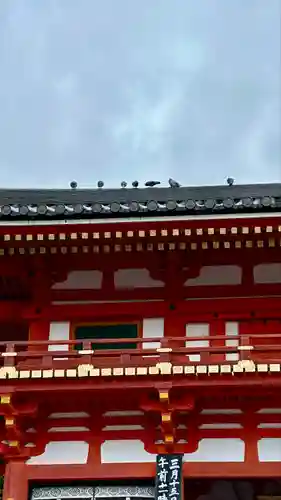 八坂神社(祇園さん)の動物