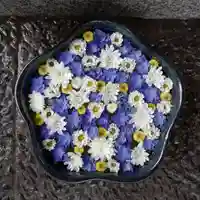 帯廣神社の手水舎