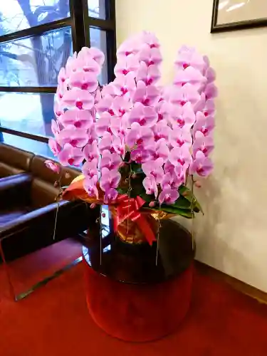 鈴鹿明神社の{uncategorized: "未分類", other: "その他", undefined: "問題あり", building: "その他建物", grave: "お墓", sacred_gate: "鳥居", guardian: "狛犬", statue: "像", buddha: "仏像", history: "歴史", nature: "自然", garden: "庭園", animal: "動物", pagoda: "塔", temizu: "手水舎", mountain_gate: "山門・神門", sanctuary: "本殿・本堂", subordinate: "末社・摂社", art: "芸術", scenery: "景色", jizo: "地蔵", ema: "絵馬", goshuin: "御朱印", omikuji: "おみくじ", items: "授与品その他", amulet: "お守り", goshuincho: "御朱印帳", eats: "食事", festival: "お祭り", votive_dance: "神楽", shichigosan: "七五三参", wedding: "結婚式", experience: "体験その他", initially: "初詣", around: "周辺", anti_infection: "感染症対策"}