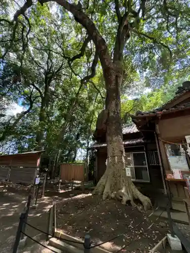 氷川女體神社(埼玉県)