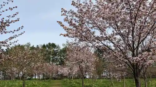 金刀比羅神宮の周辺