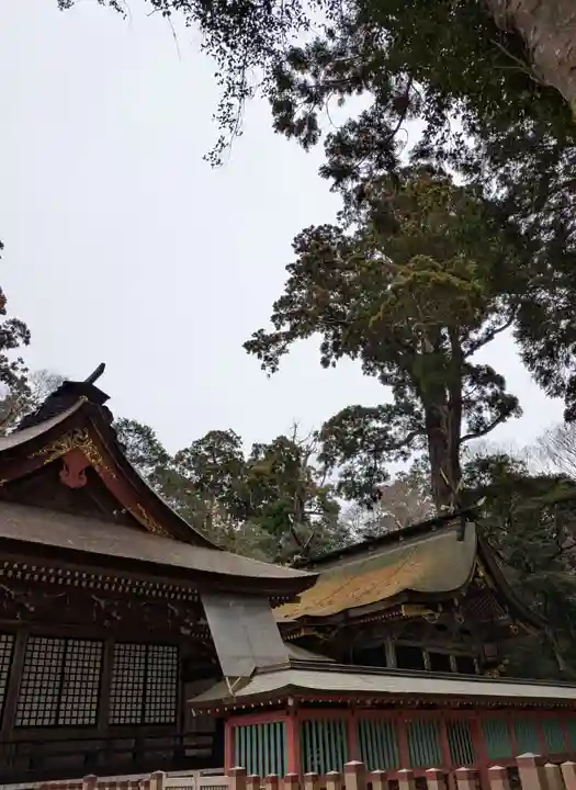 鹿島神宮(茨城県)