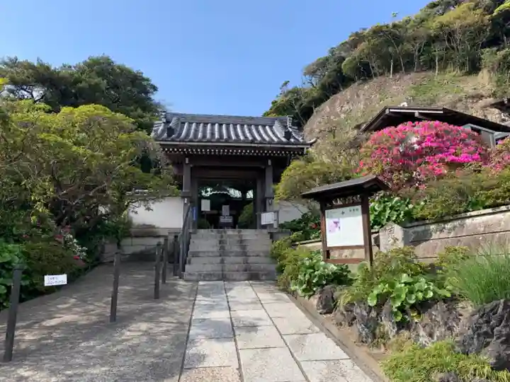 安養院 (田代寺)のその他建物