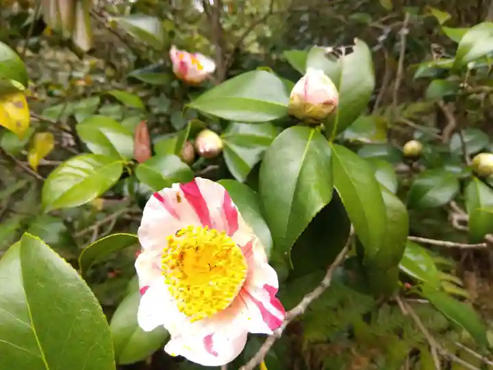 霊鑑寺門跡(京都府)