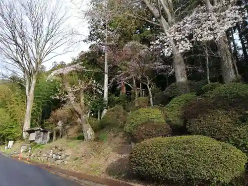 帳附神社の庭園