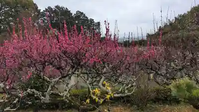 正法寺(京都府)