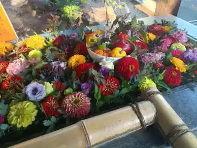狭山八幡神社(埼玉県)
