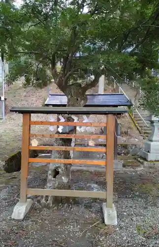 熊野神社(宮城県)
