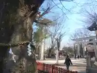 大國魂神社のその他建物