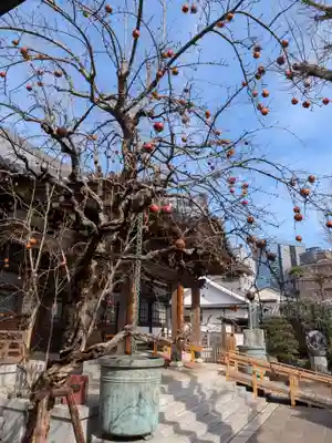 成願寺(東京都)