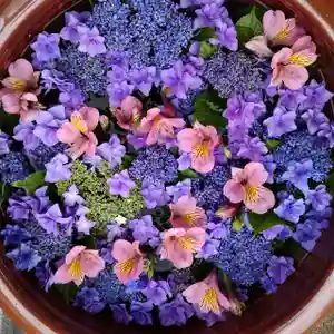 七重浜海津見神社(北海道)(2023年07月22日(土) 09時57分16秒投稿)