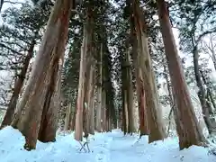 戸隠神社九頭龍社(長野県)