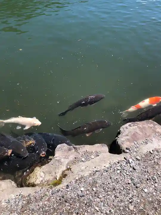 赤城神社(群馬県)