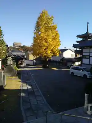 光徳院のその他建物