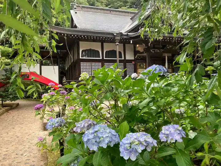 本土寺(千葉県)