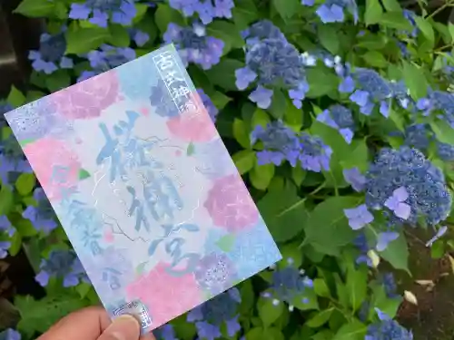 桜神宮(東京都)