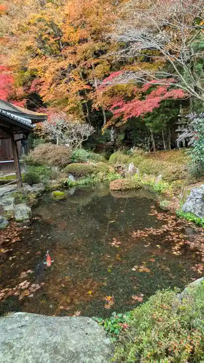 寂光院(京都府)