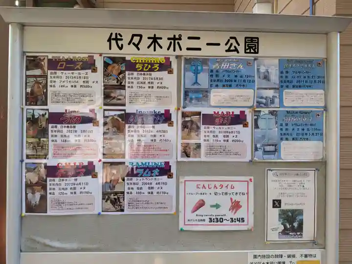 明治神宮(東京都)