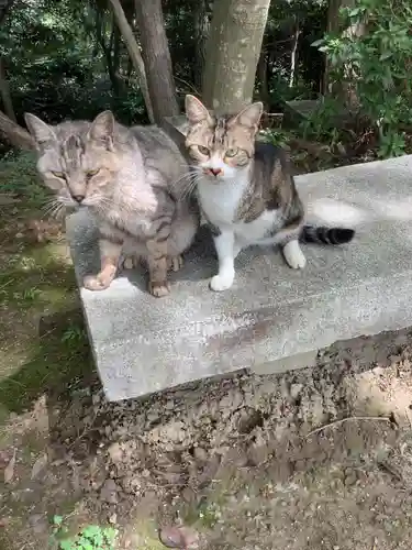 玉野御嶽神社の動物
