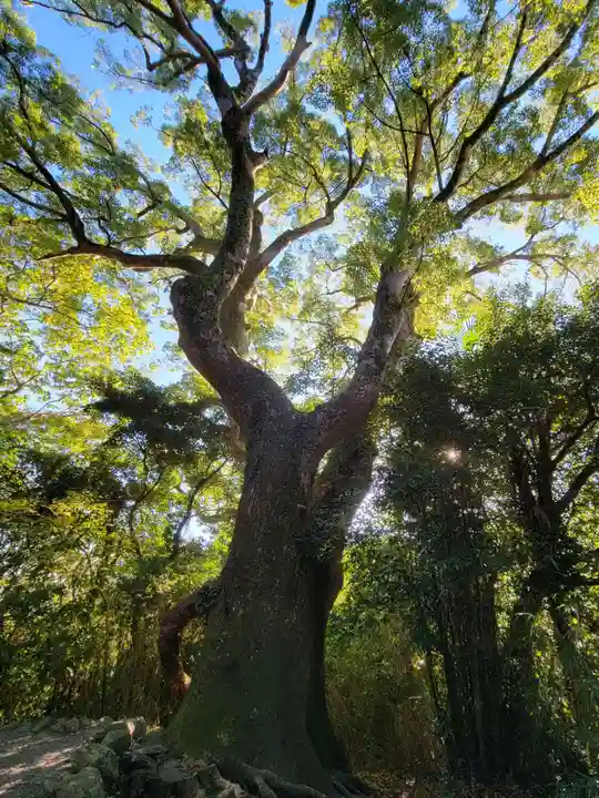 月讀宮(皇大神宮別宮)(三重県)