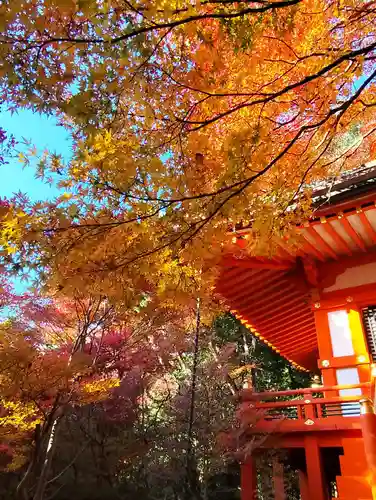 毘沙門堂門跡(京都府)