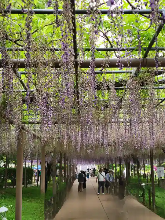 曼陀羅寺の庭園