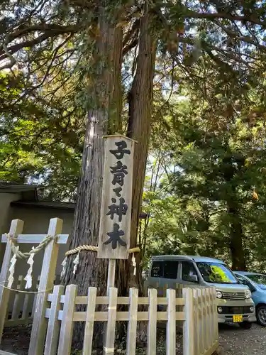 新倉富士浅間神社(山梨県)