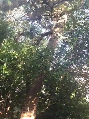 第六天神社のその他建物