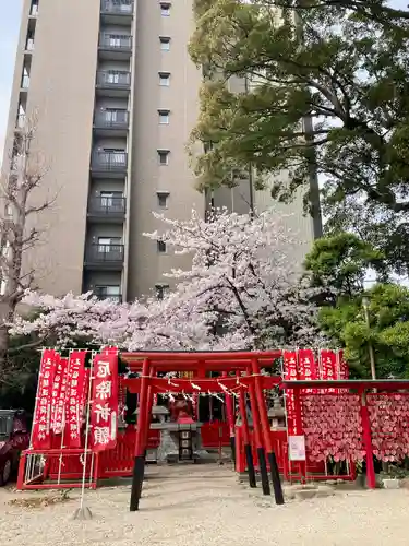 菅生神社の鳥居