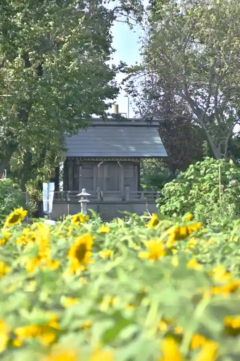 天照皇大神宮(神奈川県)
