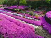 寿量山 速成寺(奈良県)