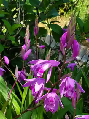 石都々古和気神社(福島県)