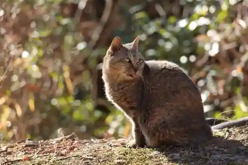玉野御嶽神社(愛知県)