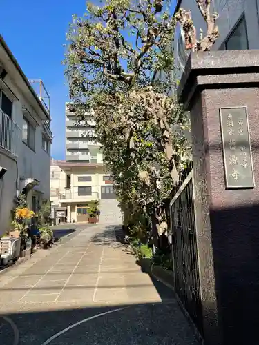 曹源寺(東京都)